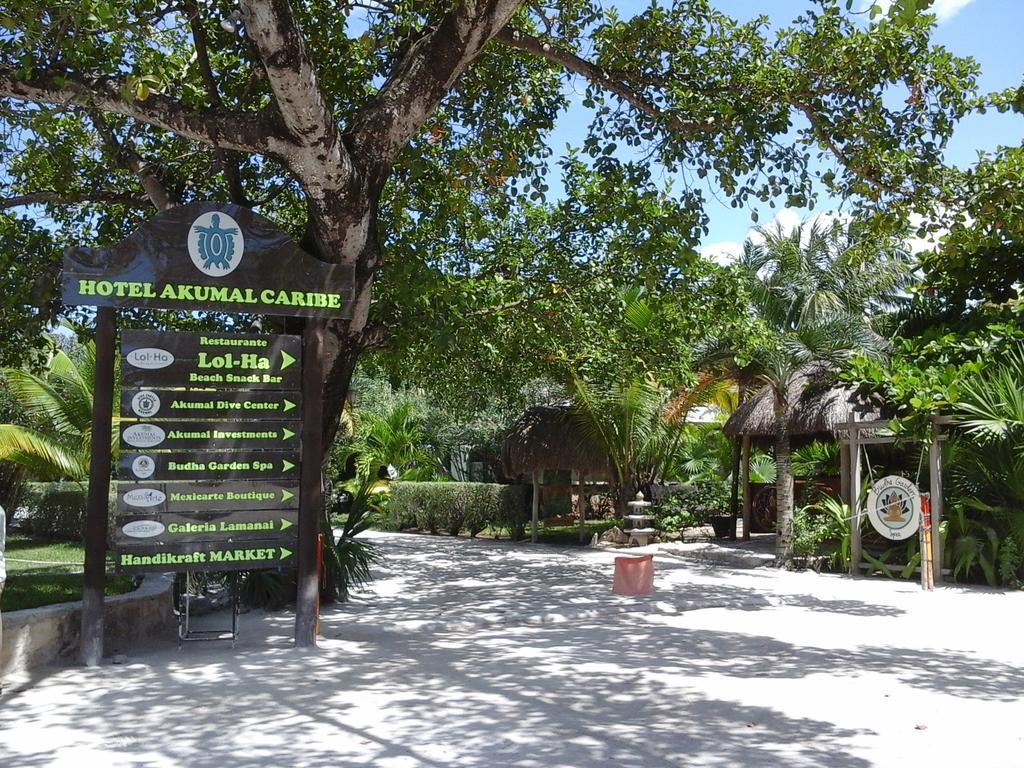 Hotel Club Akumal Caribe المظهر الخارجي الصورة